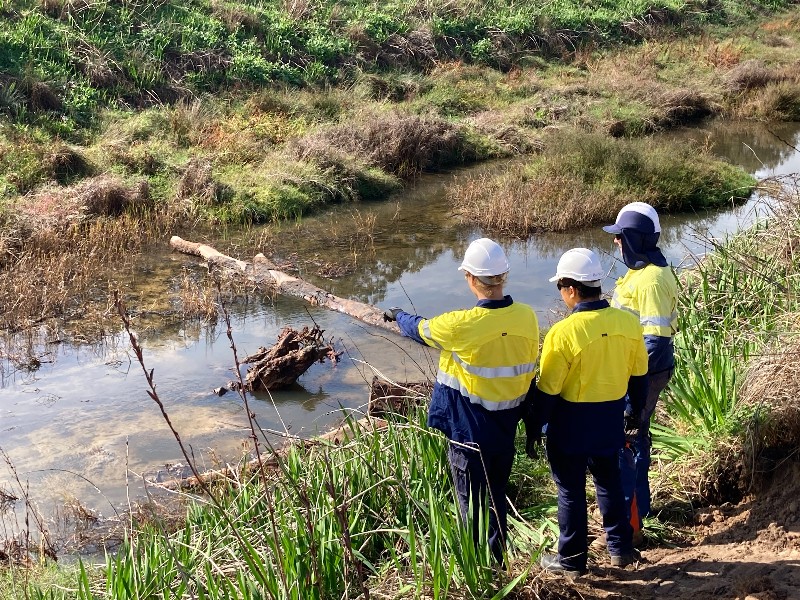 Harvey River restoration