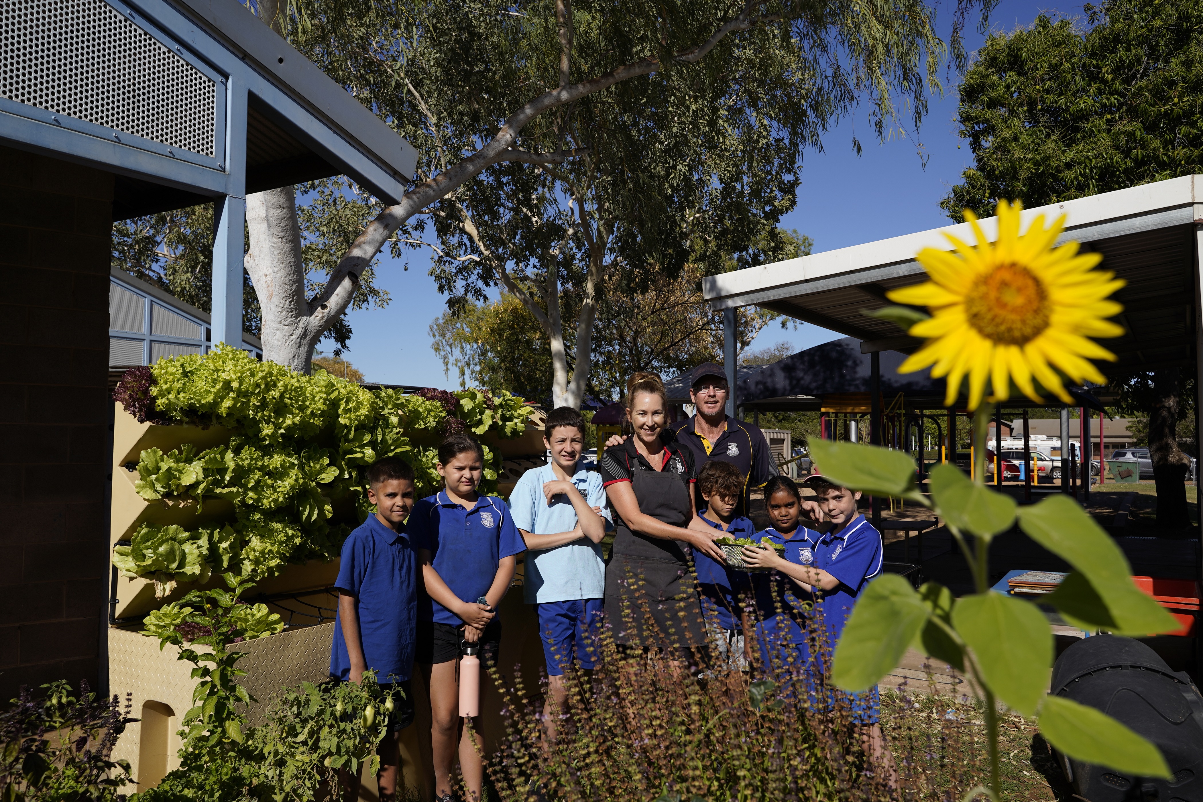 Kununurra-Hydrophonics-Garden