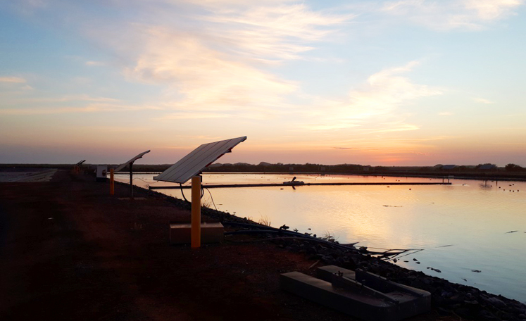 Solar Panels in Wickhan