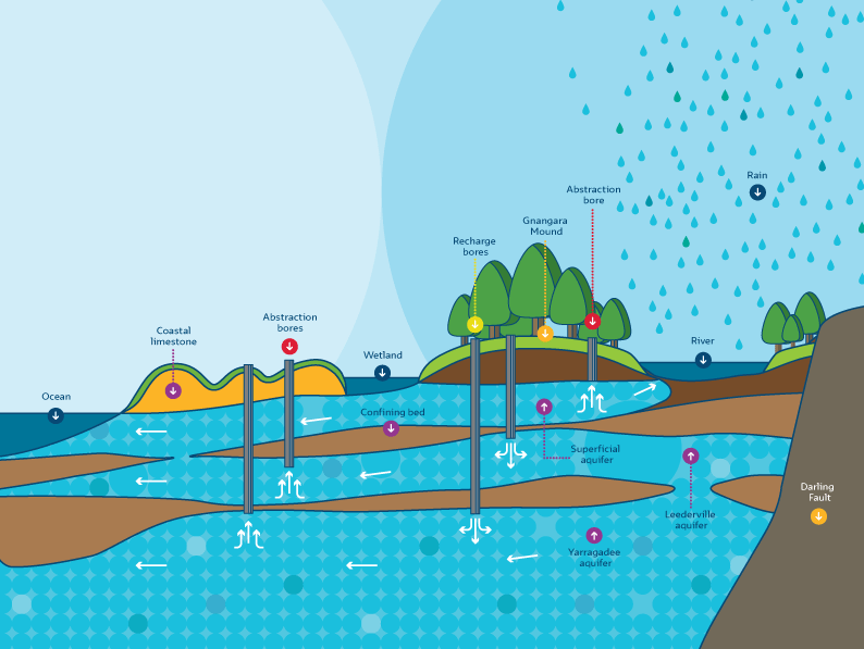 Groundwater system diagram